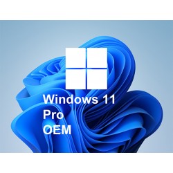 Windows 11 Pro OEM Key Lisans Satın AL